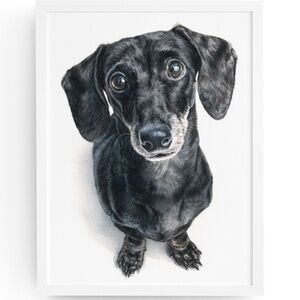 Watercolor Black Dachshund Dog Portrait Art Print – Unframed Fine Art Poster